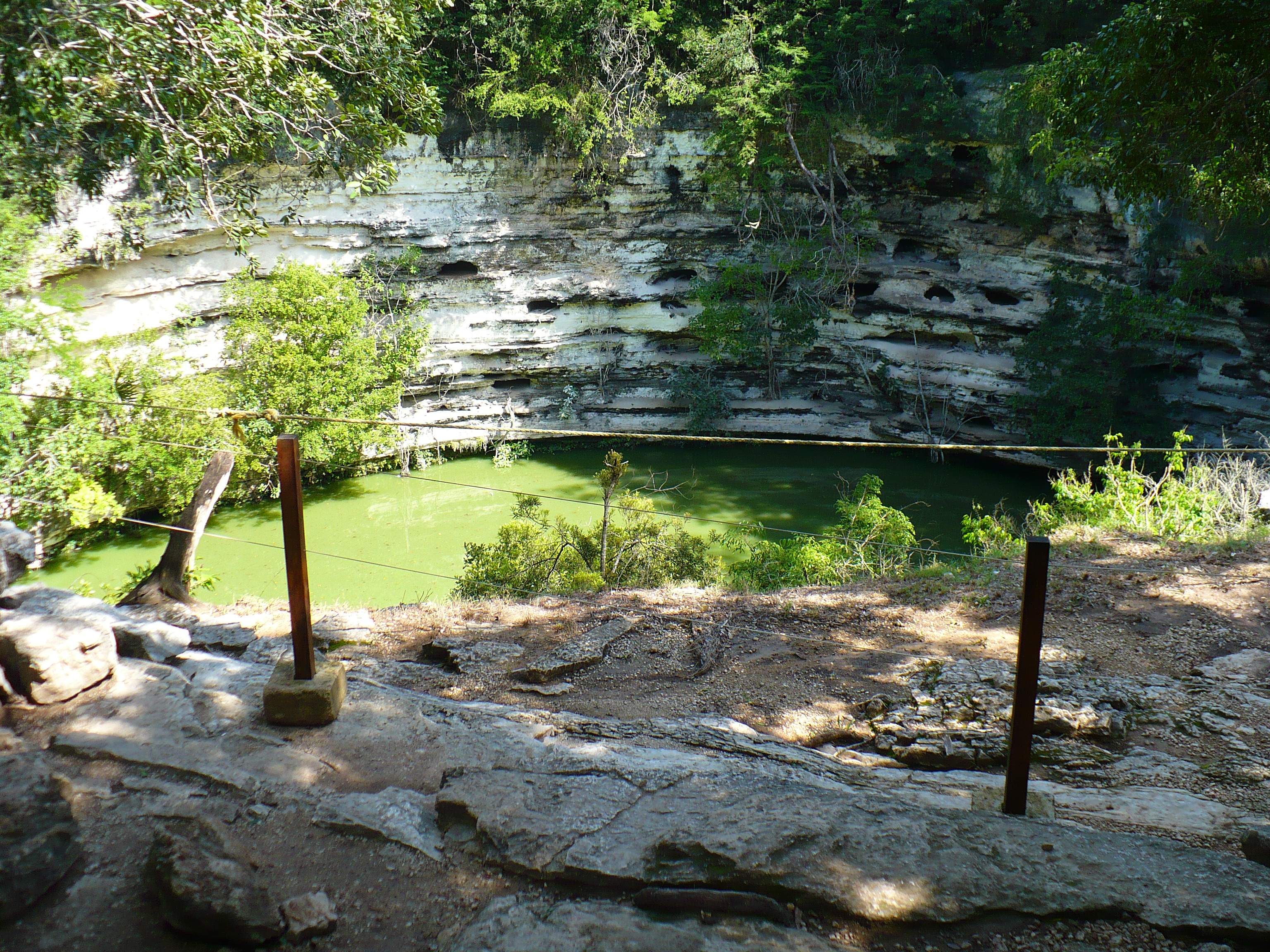 尤卡坦半岛典型的露天塞诺特——石灰岩地层坍塌后，地下水面直接暴露，成为没有地表河流地区最关键的淡水来源