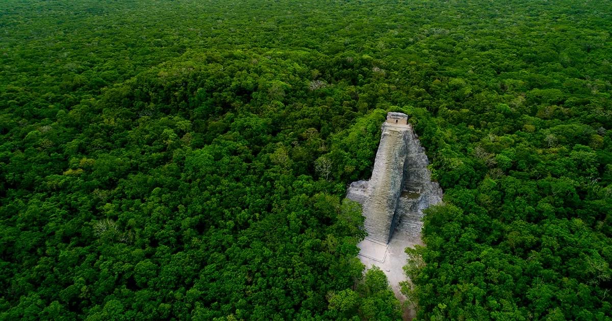 Nohoch Mul 的地面视角——高大的金字塔从林缘与空地之间突然升起，很能体现科巴埋在雨林中的现场感。